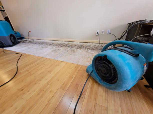Professional Basement Flood Cleanup technician working in Addison, WV